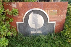 DSCN3692