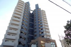 DSCN3775